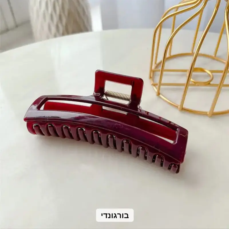 קליפס לשיער